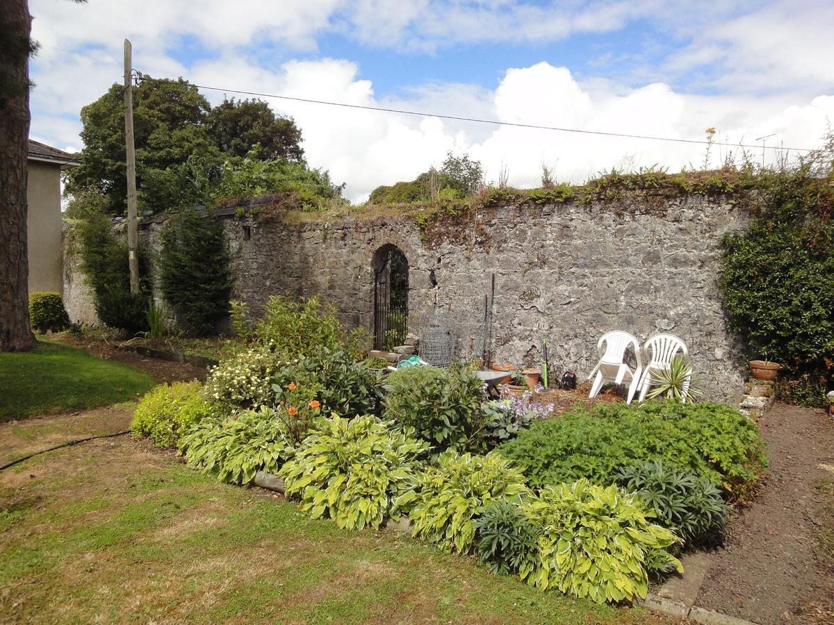 Glendine House Kilkenny住宿加早餐旅馆 外观 照片